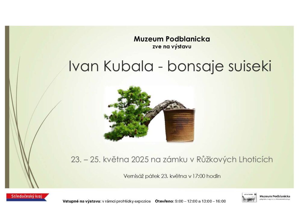 Bonsaje a suiseky